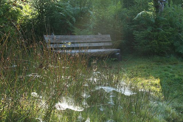 Kniebis 2009 Bild 12